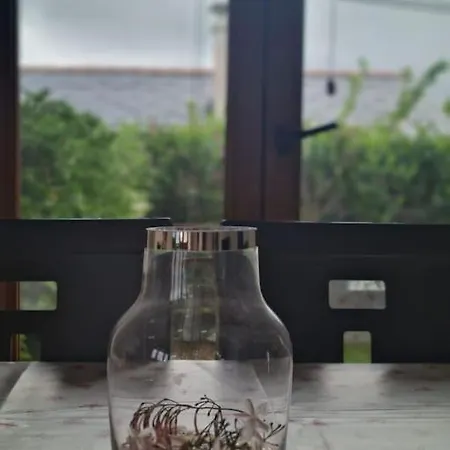 El Mirador Del Mar O Vicedo